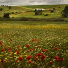 Spring in The Alentejo